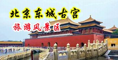 免费看美女日逼中国北京-东城古宫旅游风景区
